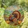 Majestic Turkey Stained Glass Art - Autumn Jewel Tone Pumpkin Wildflower Decor Stained Glass Suncatcher - 1