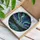 Stained Glass Mountain Lake Aurora Borealis - Night Sky Pine Forest Jewel Tone Art Stained Glass Suncatcher - 3