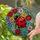 Large Red Ladybug Stained Glass Art, Tiffany Style Flower Mosaic, Jewel Tone Flowers Stained Glass Suncatcher - 2