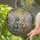 Raccoon Red Panda Fairy Winged Stained Glass Mosaic - Woodland Foliage Window Art Stained Glass Suncatcher - 2