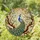 Majestic Peacock Stained Glass Art - Tiffany Style Iridescent Tail & Blossom Mosaic Stained Glass Suncatcher - 1