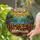 Sleeping Tortoiseshell Cat Open Book Tiffany Stained Glass - Sun Tree Sky Mosaic Art Stained Glass Suncatcher - 2