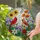 Male & Female Cardinal Birds Gazing Floral Stained Glass Tiffany Art - Nature Lover Gift Stained Glass Suncatcher - 2