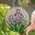 Blooming Purple Iris Flowers Stained Glass Mosaic Art Tiffany Style Home Decor Gift Stained Glass Suncatcher - 2