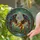 Gryphon Stained Glass Celestial Forest Moon Stars - Glowing Tiffany Style Jewel Tones Stained Glass Suncatcher - 2