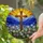 Highly Detailed Jewel Tone Rustic Wooden Cross, Daisy Field, Mountain Sunburst Sky Stained Glass Suncatcher - 2
