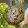 Koala Bear Eucalyptus Leaves Tiffany Stained Glass Mosaic - Dappled Sunlight Art Decor Stained Glass Suncatcher - 2