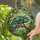 Chameleon Stained Glass Mosaic Art on Jungle Branch - Tiffany Style Window Decor Gift Stained Glass Suncatcher - 2