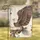 American Bald Eagle Liberty Bell 1776-2026 - USA 250th Anniversary Patriotic Gift Garden Flag - 1