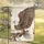 American Bald Eagle Liberty Bell 1776-2026 - USA 250th Anniversary Patriotic Gift Garden Flag - 5