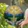 Golden Cross Doves Daisy Mountain River Waterfall Landscape - Christian Faith Art Gift Stained Glass Suncatcher - 2