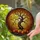 Gnarled Ancient Tree Full Moon Bats Pumpkins Tiffany Style - Autumn Fall Decor Gift Stained Glass Suncatcher - 2