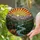 Mountain Hiker Cliff Edge View - Stained Glass Nature Art Outdoor Adventure Gift Stained Glass Suncatcher - 2