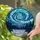 Nocturnal Winter Forest Evergreen Trees Aurora Borealis Snowy River Stained Glass Stained Glass Suncatcher - 2