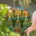 Saguaro Cacti Agave Desert Landscape Glowing Sun Tiffany Glass Jewel Tones High Contrast Stained Glass Suncatcher - 2