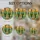 Saguaro Cacti Agave Desert Landscape Glowing Sun Tiffany Glass Jewel Tones High Contrast Stained Glass Suncatcher - 4