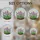 duiyfppz/products/69d7ce202c3d401d8fb55deb/gallery/BKbnquXzXn