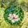 duiyfppz/products/69d7cecc2c3d400653b56137/gallery/FaqNGTFcX2