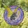 Fairy Possum Iridescent Fur Golden Wing Magic Wand - Cosmic Starlight Tiffany Glass Art Stained Glass Suncatcher - 1