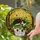 duiyfppz/products/69d7d25b18830bf29160e933/gallery/h5IoVx4e4j