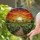 duiyfppz/products/69d7d2733504b243abb80522/gallery/RWWZOipuDZ
