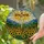 duiyfppz/products/69d7d286343cfa9a9e952a57/gallery/YvHXg7dY2F