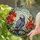 African Grey Parrot Stained Glass Tropical Flowers - Window Art Decor for Bird Lovers Stained Glass Suncatcher - 2