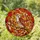 Majestic Hawk Stained Glass Gnarled Branch Autumn Maple Leaves Tiffany Style Window Art Stained Glass Suncatcher - 1