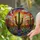 Saguaro Cactus Desert Landscape Tiffany Stained Glass Art - Flowering Cacti Succulent Mosaic Stained Glass Suncatcher - 2