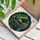 Ornate Black Grand Piano Stained Glass with Glowing Fairy Lights & Deep Green Foliage Stained Glass Suncatcher - 3