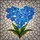 Blue Forget-Me-Not Heart Tiffany Stained Glass Flower Mosaic with Jewel Tones & Leaves Stained Glass Suncatcher - 5