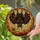 Dark Bat Glowing Eyes Jack-O-Lantern Spider Halloween Decor - Tiffany Style Gift Stained Glass Suncatcher - 2