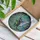 Raccoon Reading Book Butterfly Wings Stained Glass Tiffany Mosaic Celestial Decor Stained Glass Suncatcher - 3