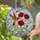 Hummingbird & Poppy Stained Glass Suncatcher - Detailed Tiffany Mosaic Art Jewel Tones - 2