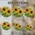 Tiffany Style Sunflower Stained Glass Mosaic - Detailed Green Foliage & Iridescent White Stained Glass Suncatcher - 4