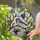 Tiffany Stained Glass Titmouse Chickadee Bird Purple Berries Branch Mosaic Art Decor Stained Glass Suncatcher - 2