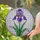 Blooming Iris Flower Stained Glass Mosaic - Tiffany Style Purple Jewel Tone Window Art Stained Glass Suncatcher - 2