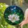 White Magnolia Blue Dragonfly Tiffany Glass Stained Art Window Decor Gift for Home Stained Glass Suncatcher - 2