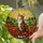 Blissful Brown Tabby Cat Poppy Stained Glass - Tiffany Style Sunrise Window Decor Stained Glass Suncatcher - 2