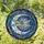 Iridescent Dragonfly Crescent Moon Starry Night Mosaic - Tiffany Glass Home Decor Stained Glass Suncatcher - 1