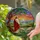 Stained Glass Jesus Sunset Landscape - Tiffany Style Religious Nature Contemplation Decor Stained Glass Suncatcher - 2