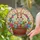 Jewel Tone Stained Glass Easter Bunny Basket with Eggs & Flowers - Spring Decor Stained Glass Suncatcher - 2