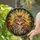Fluffy Tabby Maine Coon Cat Stained Glass Art, Tiffany Style, Vesper Name & Wreath Stained Glass Suncatcher - 2