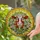 Cow Head Daisy Garland Elvira Name Stained Glass Tiffany Mosaic Art Amber Gold Stained Glass Suncatcher - 2