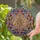 Tiffany Stained Glass Mandala Focal Spirals Lead Caming Organic Swirl Jewel Tone Window Decor Stained Glass Suncatcher - 2