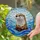 Vigilant Otter Tiffany Stained Glass - Jewel Tone Water Sky Detailed Fur Decor Stained Glass Suncatcher - 2