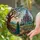Solitary Woman Castle View Stained Glass Fantasy Tiffany Art - Ancient Tree Radiant Sun Stained Glass Suncatcher - 2