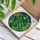 Monstera Deliciosa Stained Glass Mosaic Art – Vibrant Green Teal Tropical Window Decor Stained Glass Suncatcher - 3