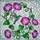 Emerald Hummingbird Pink Morning Glory Stained Glass - Tiffany Style Leaves Vines Stained Glass Suncatcher - 5