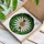 White Daisy Flower Ladybug Tiffany Stained Glass Green Foliage Mosaic Natural Environment Stained Glass Suncatcher - 3